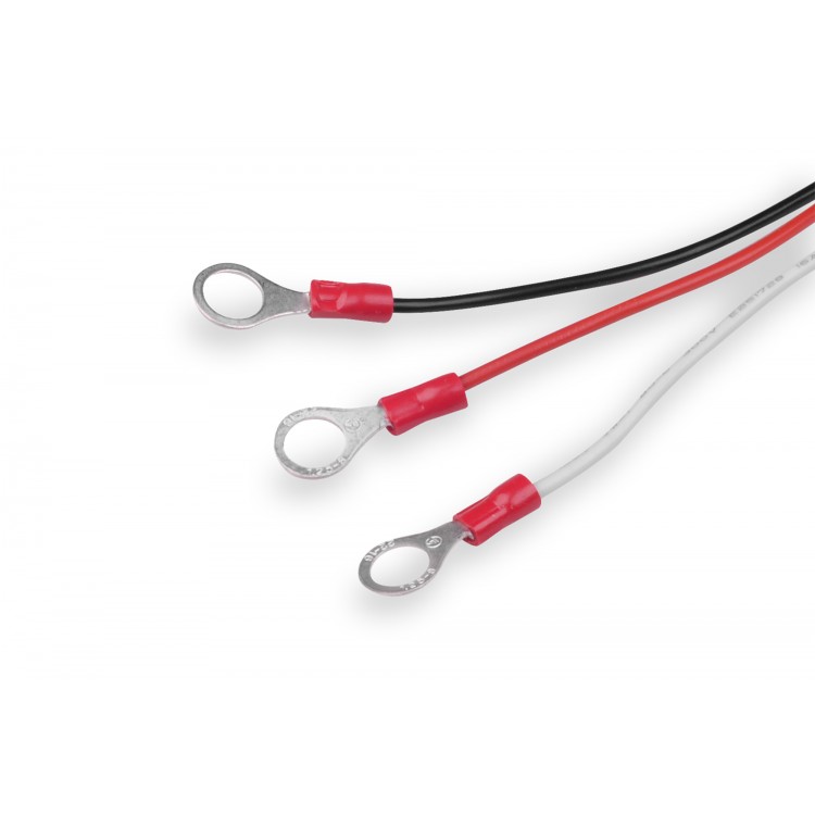 BALANSER AKU PROTECT 24V do akumulatorów 24V