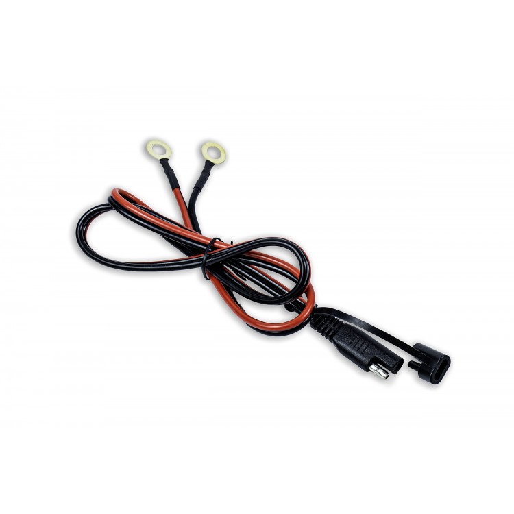 PROSTOWNIK DO AKUMULATORÓW LiFePO4 20A (12,8V)